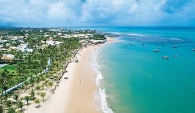 *Verano 2025* Vivi Brasil: Praia Do Forte Salida Febrero 2025