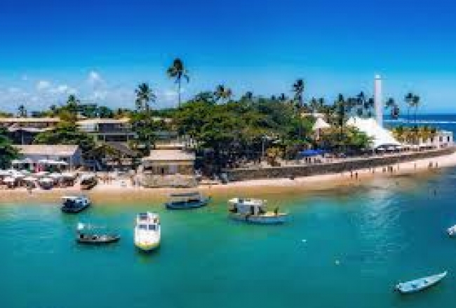 *Verano 2025* Vivi Brasil: Praia Do Forte Salida Febrero 2025