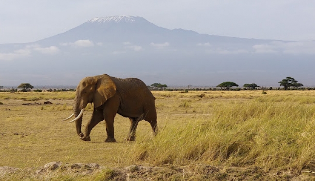 Salida Grupal a Kenia -  Incluye Safari!! - Salida 14 de Junio 2025