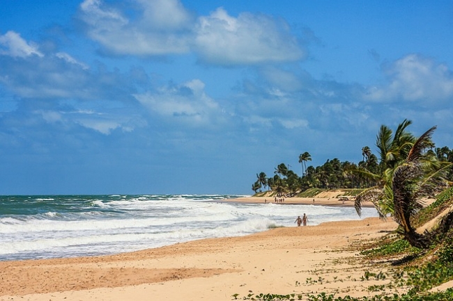 Maragogi, Salidas Marzo 2025