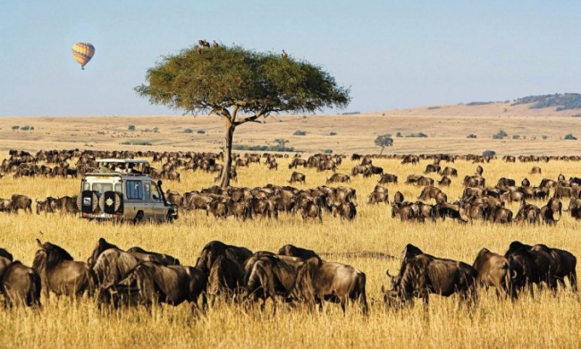 Africa: Visita Kenia y Tanzania - Salida Grupal Acompaada - Octubre 2025