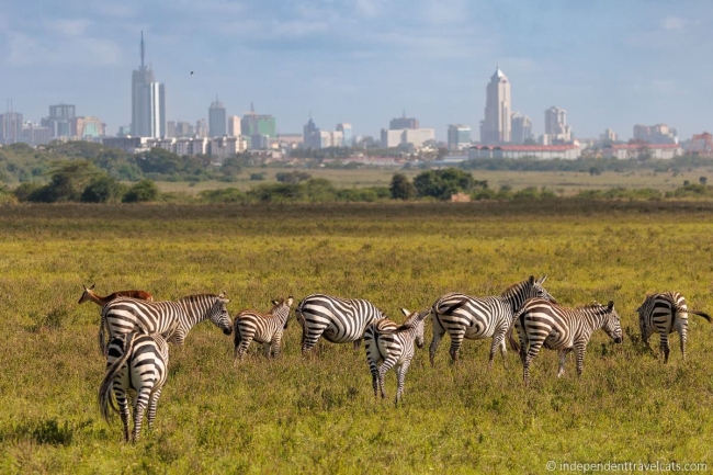Africa: Visita Kenia y Tanzania - Salida Grupal Acompaada - Octubre 2025