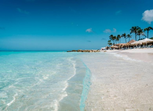 * Adelanto Verano 2026* - Aruba -  Salida 14 de Enero - Riu Palace