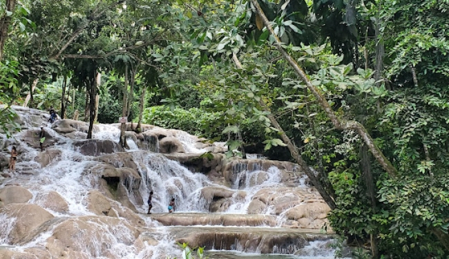 * Adelanto Verano 2026* - Ocho Rios Jamaica -  Salida 22 de Enero - Riu Ocho Rios