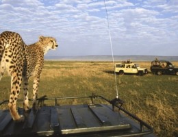 Africa: Visita Kenia y Tanzania - Salida Grupal Acompaada - Octubre 2025