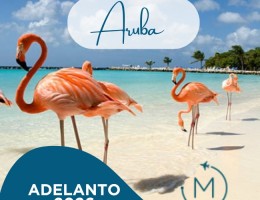 * Adelanto Verano 2026* - Aruba -  Salida 22 de Enero - Riu Palace