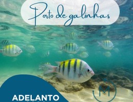  Adelanto Verano 2026* - Porto de Galinhas Brasil -  Salida 19 de Enero - VILLA CARACOL POUSADA